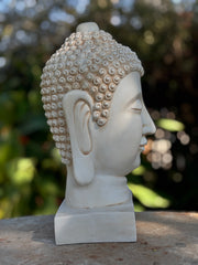 Buddha Bust Statue
