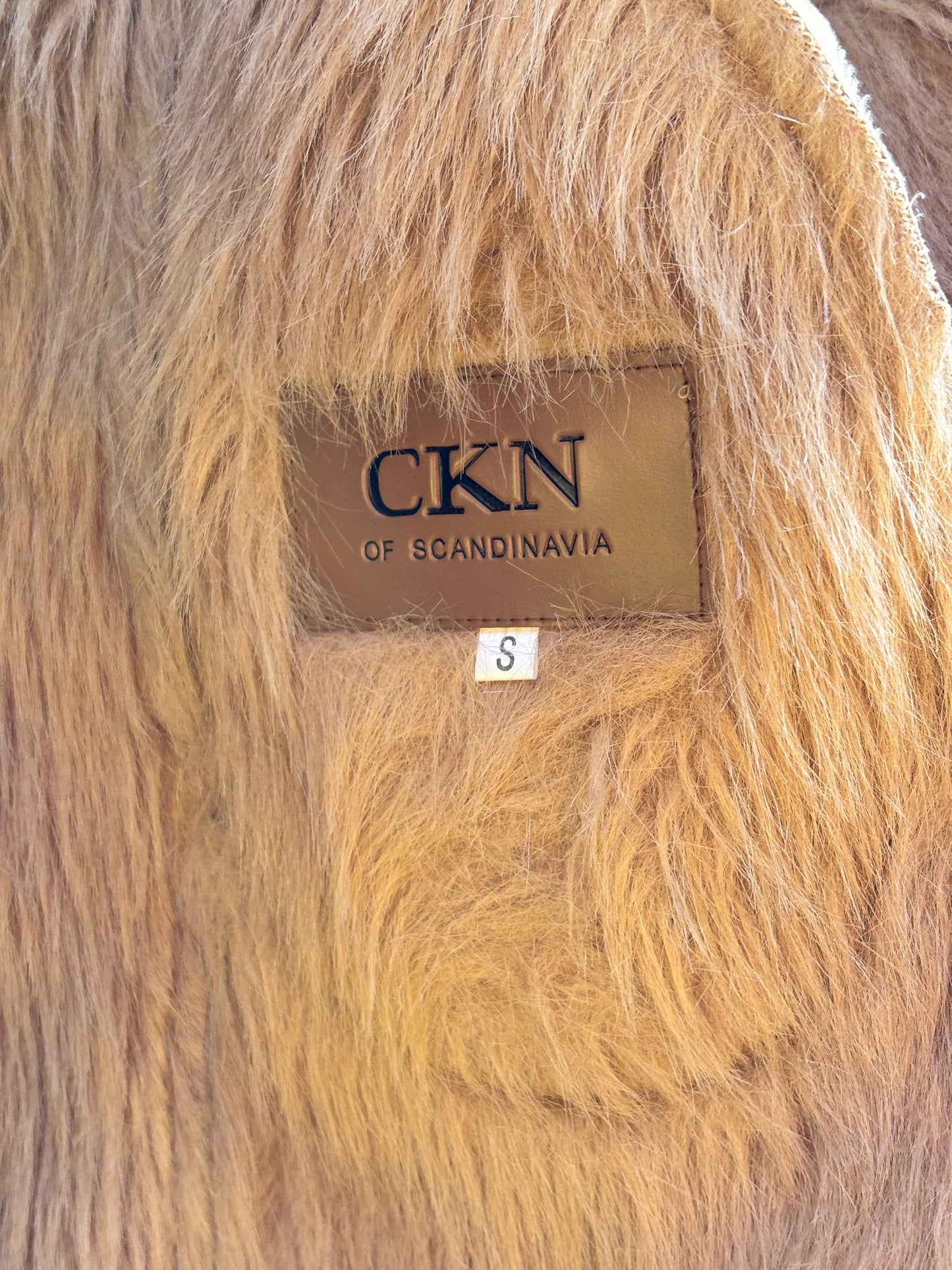 Scandinavian Princess Coat
