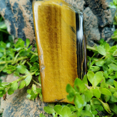 Tigers Eye Slab